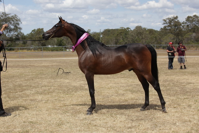 2012 Sprint Affair - Queensland Australia