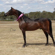 2012 Sprint Affair - Queensland Australia