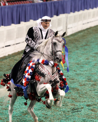 The First Annual Arabian Celebration 