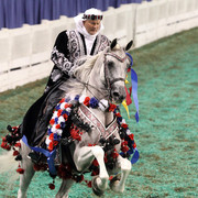 The First Annual Arabian Celebration 