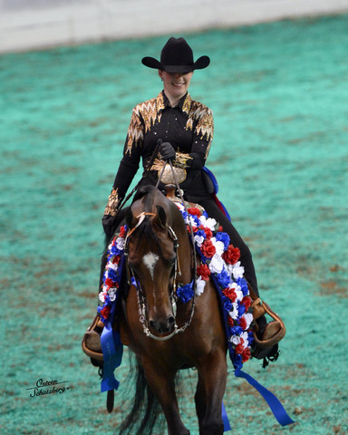 The First Annual Arabian Celebration 