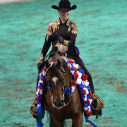 The First Annual Arabian Celebration 