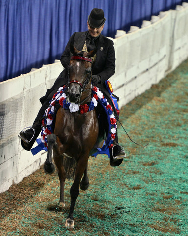 The First Annual Arabian Celebration 