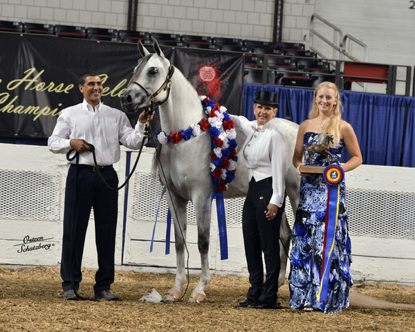 The First Annual Arabian Celebration 