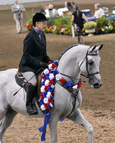 The First Annual Arabian Celebration 