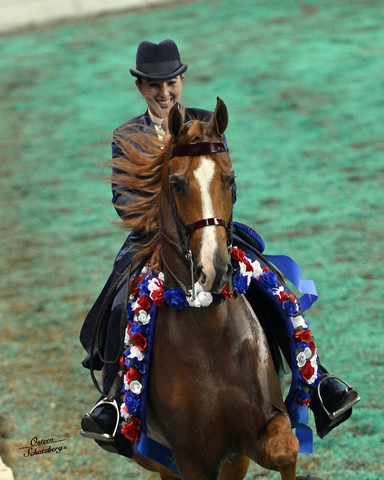 The First Annual Arabian Celebration 