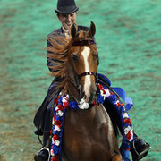 The First Annual Arabian Celebration 