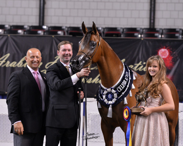 The First Annual Arabian Celebration 