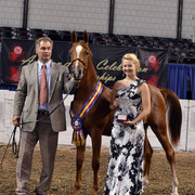 The First Annual Arabian Celebration 