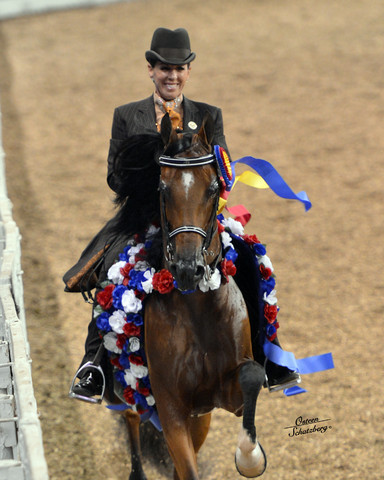 The First Annual Arabian Celebration 