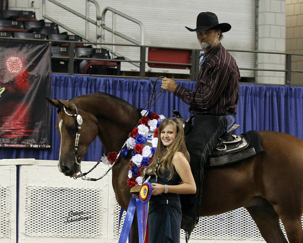 The First Annual Arabian Celebration 