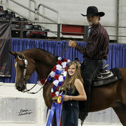 The First Annual Arabian Celebration 