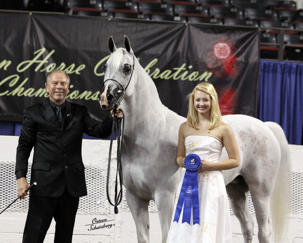 The First Annual Arabian Celebration 