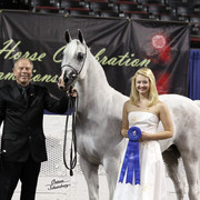 The First Annual Arabian Celebration 