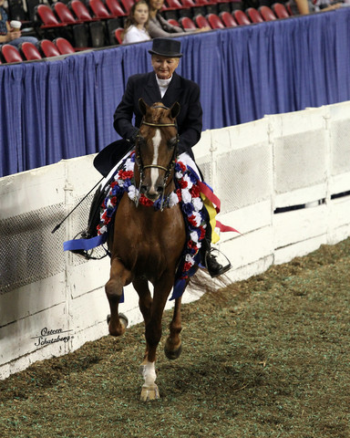 The First Annual Arabian Celebration 