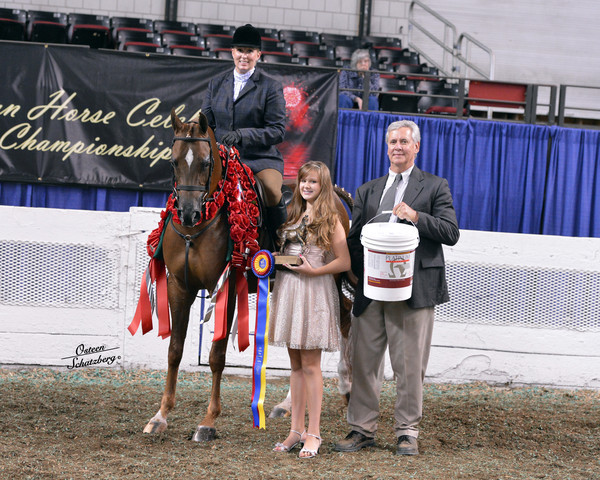 The First Annual Arabian Celebration 