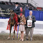 The First Annual Arabian Celebration 