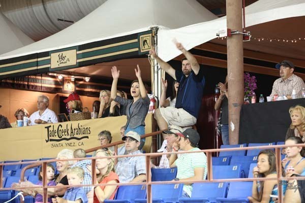 2012 Arabian Breeder Finals 