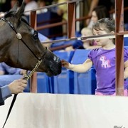 2012 Arabian Breeder Finals 