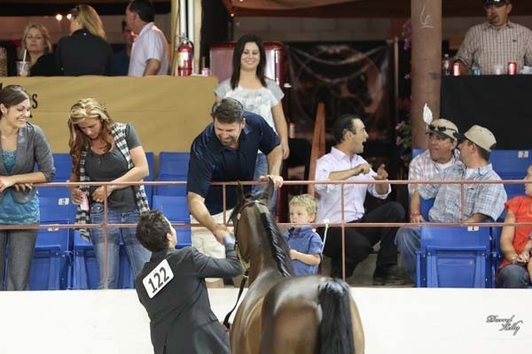2012 Arabian Breeder Finals 