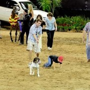 2012 Arabian Breeder Finals 