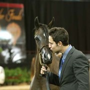 2012 Arabian Breeder Finals 