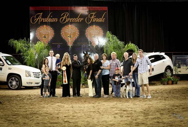 2012 Arabian Breeder Finals 