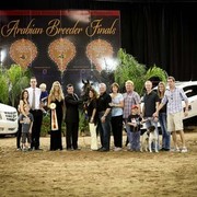 2012 Arabian Breeder Finals 