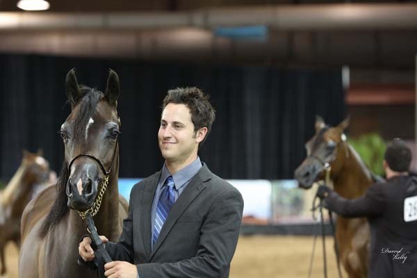 2012 Arabian Breeder Finals 