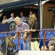 2012 Arabian Breeder Finals 