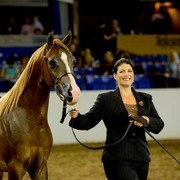 2012 Arabian Breeder Finals 