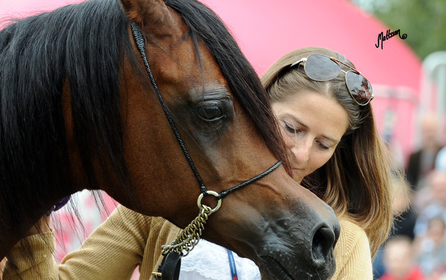 2012 Polish Arabian Horse Days