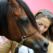 2012 Polish Arabian Horse Days