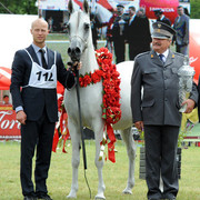 2012 Polish Arabian Horse Days