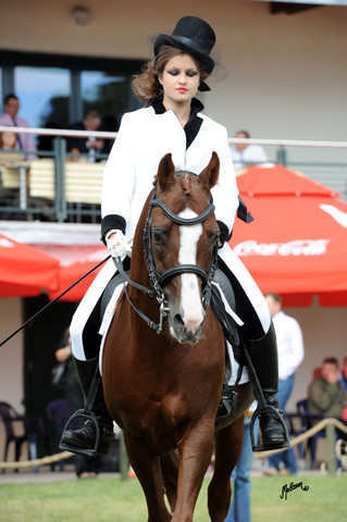 2012 Polish Arabian Horse Days
