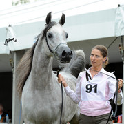 2012 Polish Arabian Horse Days