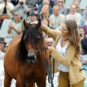 2012 Polish Arabian Horse Days