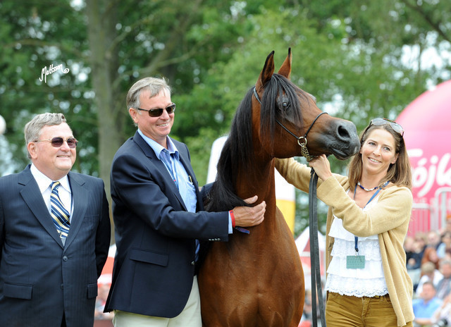 2012 Polish Arabian Horse Days