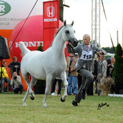 2012 Polish Arabian Horse Days