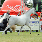 2012 Polish Arabian Horse Days