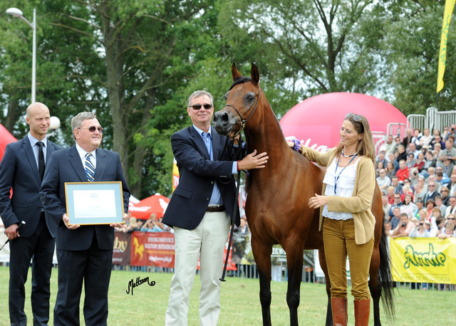 2012 Polish Arabian Horse Days