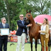 2012 Polish Arabian Horse Days