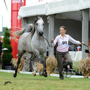 2012 Polish Arabian Horse Days
