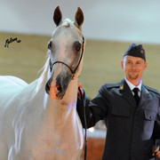 2012 Polish Arabian Horse Days