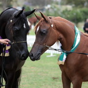 2012 Top Of The Range Event - Queensland 