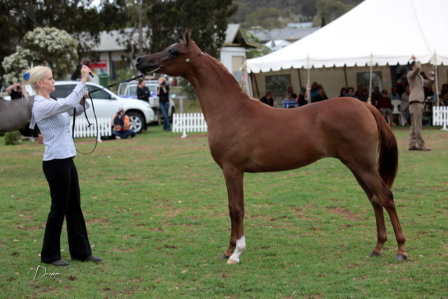 2012 Top Of The Range Event - Queensland 