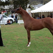 2012 Top Of The Range Event - Queensland 