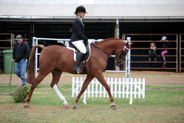 2012 Top Of The Range Event - Queensland 