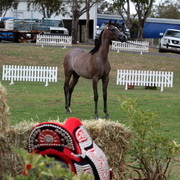 2012 Top Of The Range Event - Queensland 