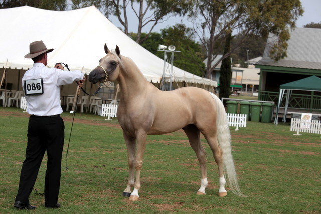 2012 Top Of The Range Event - Queensland 
